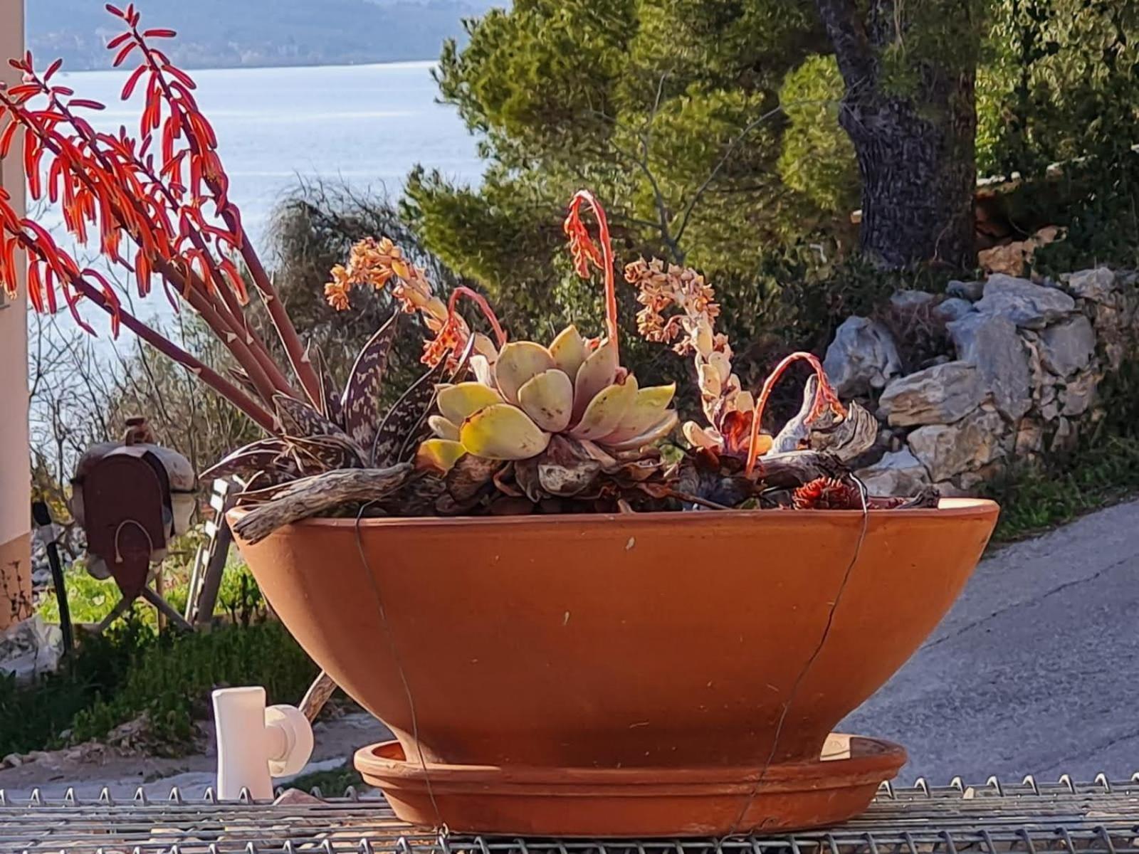 Kuca Mali Raj - Little Paradise Šibenik Exterior foto
